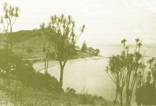 Te Kohuroa 1900s